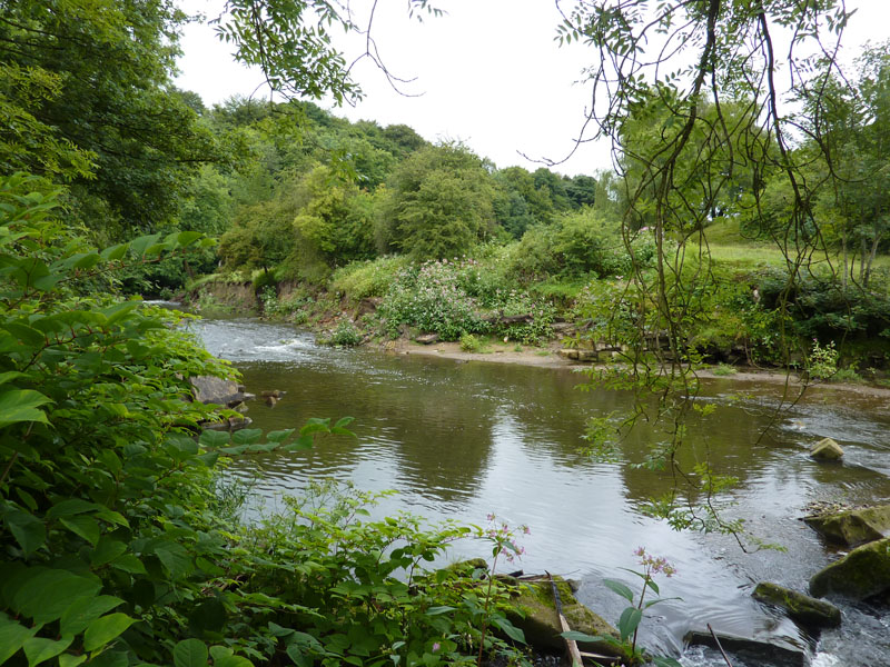 The Weir